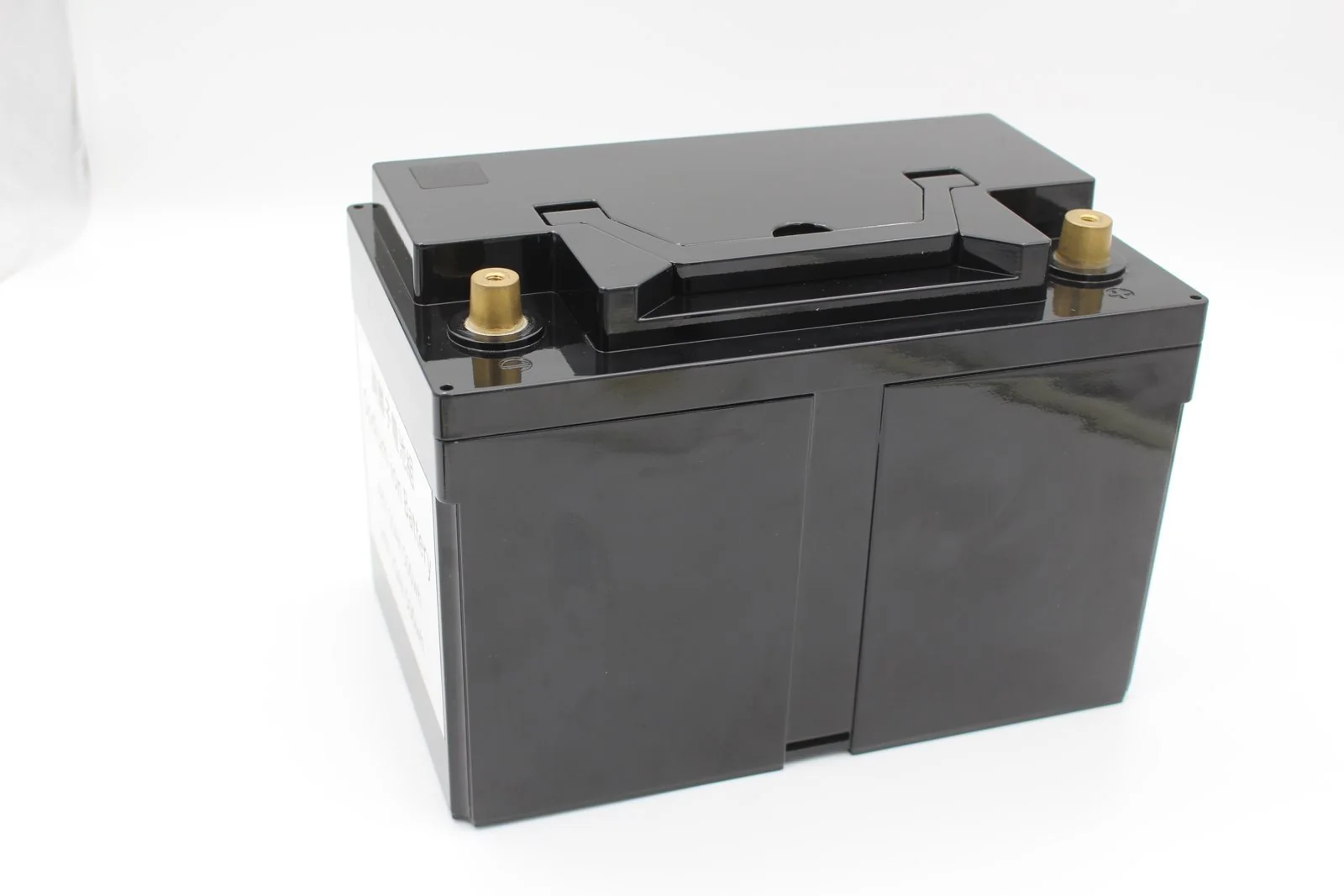The 48 V pack concept — glossy black enclosure with brass terminals, as photographed